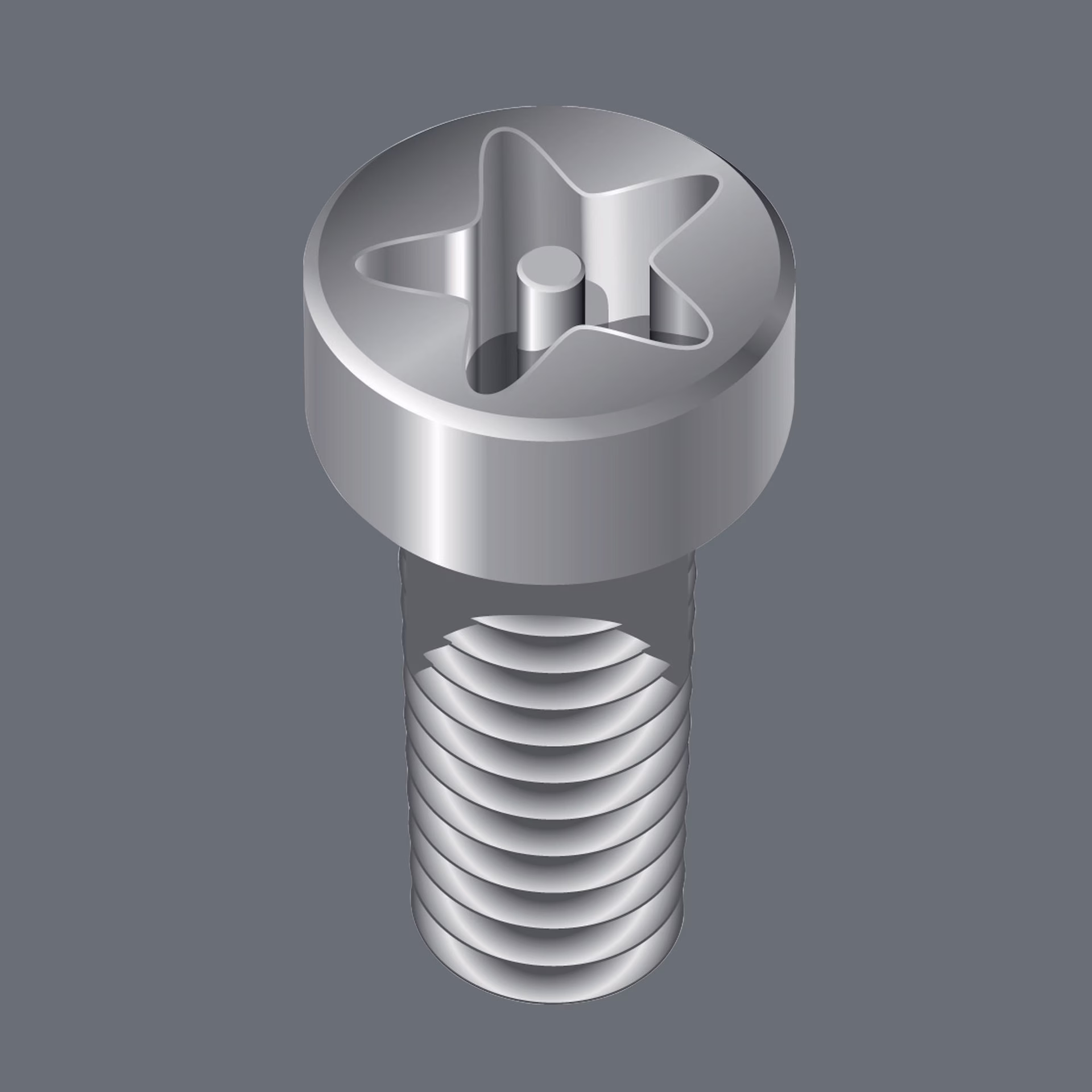 Bit 867/1 IPR DIN3126-F6,3/ISO1173 Torx Plus 30IPR L.25mm m.Bohrung CV-Molybdän