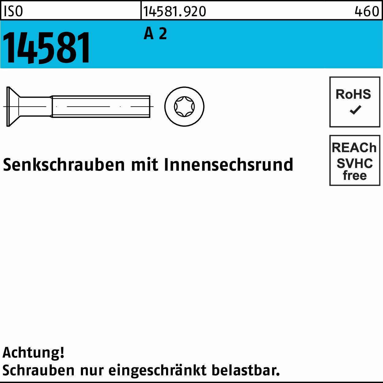 Senkschraube ISO 14581 ISR