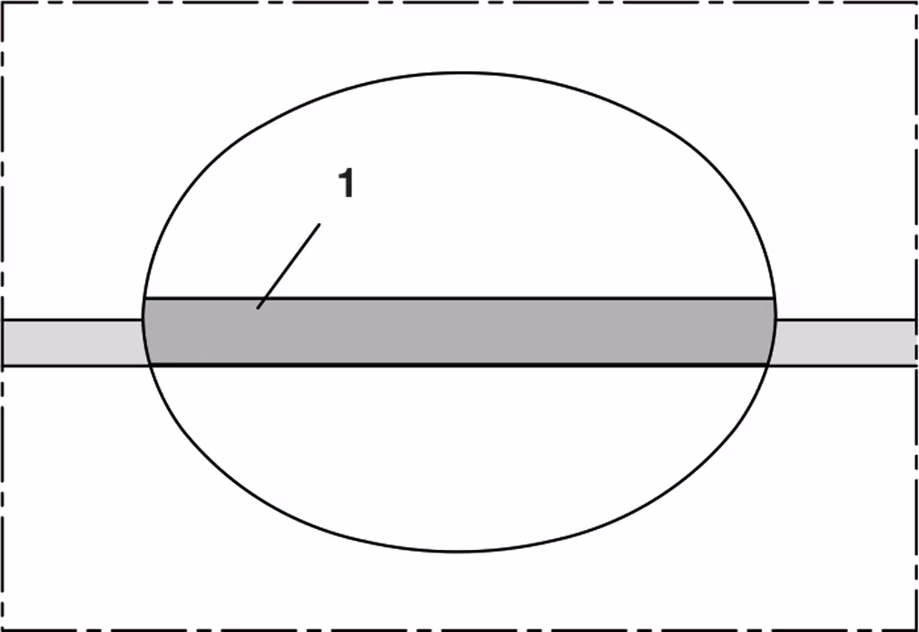 PTFE-Lebensmittelschlauch ID 2mm AD 4,00mm L.50m Wandst.1,00mm