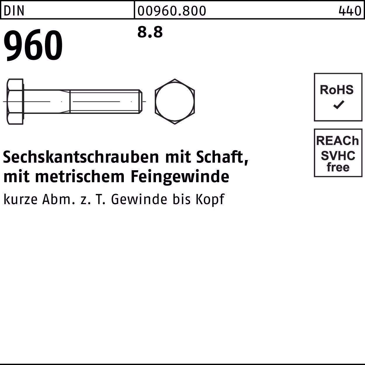 Sechskantschraube DIN 960 8.8