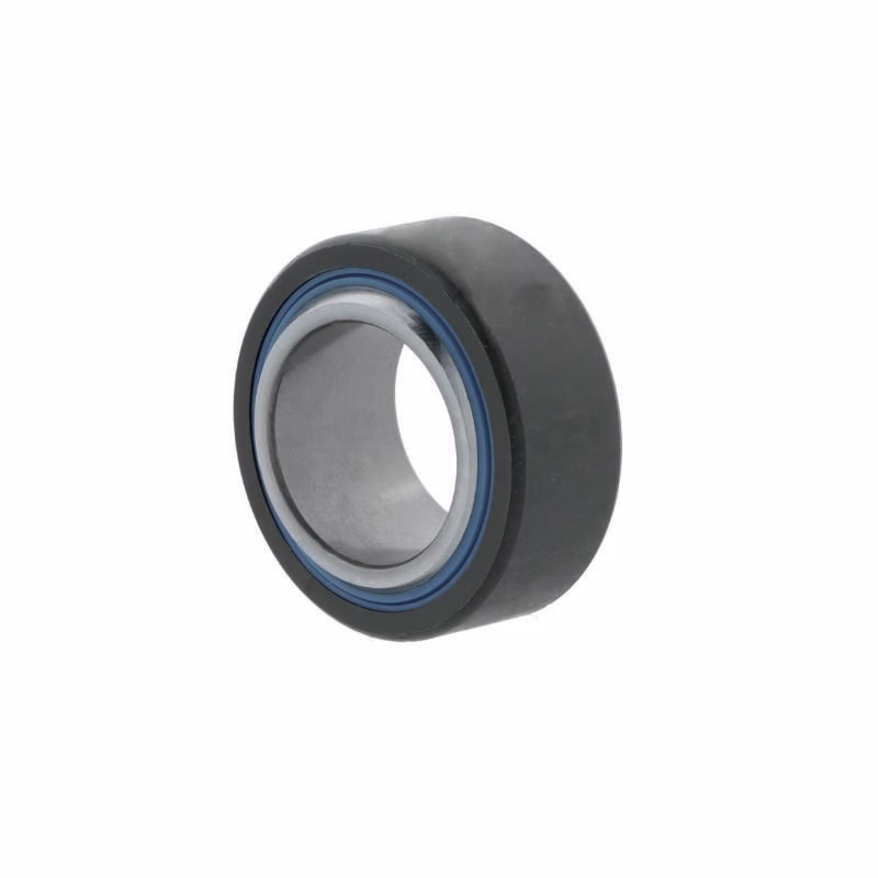 Radial-Gelenklager DGE100 FW-2RS Basic Line 100mm AD 160mm B.85mm