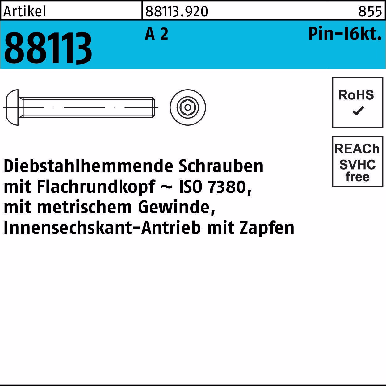 Schraube R 88113 diebstahlh. Innen-6kt Zapfen 2 100