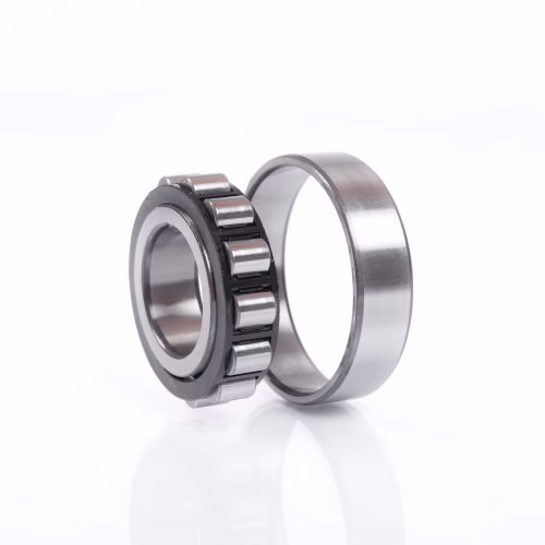 Zylinderrollenlager N1011 K.DTVSP ID 55mm AD 90mm Breite18mm
