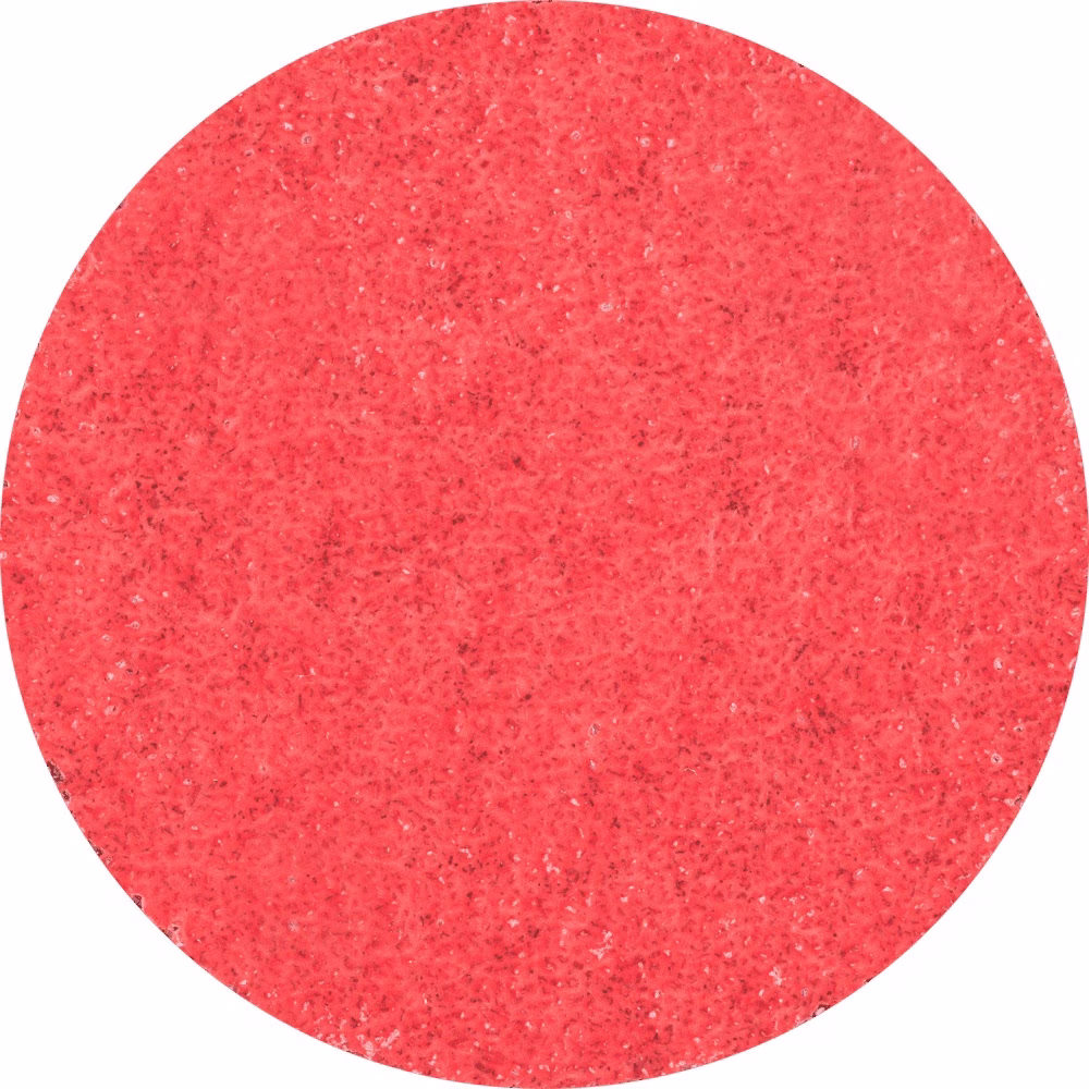Schleifscheibe COMBIDISC CO-COOL D.50mm K.60 13000min-¹ PFERD