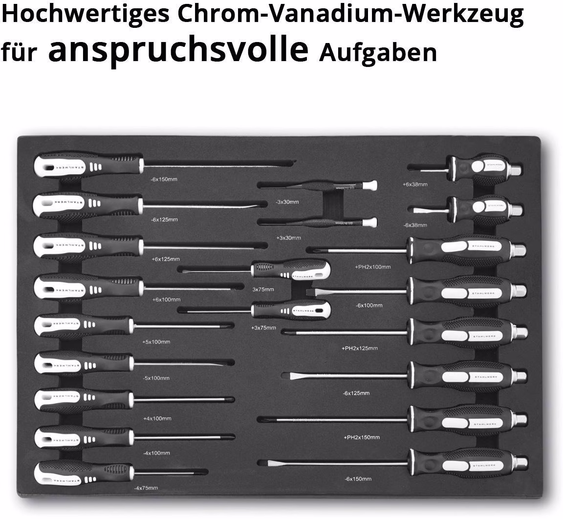 Werkzeugmodul 21-tlg.Schraubendreher-Set