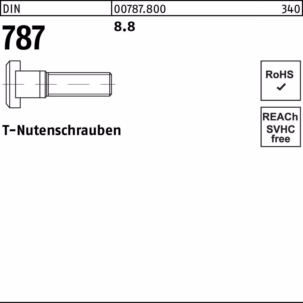 T-Nutenschraube DIN 787 8.8