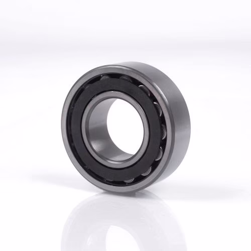 Toroidalrollenlager C2209 K.TN9C3 ID 45mm AD 85mm Breite23mm