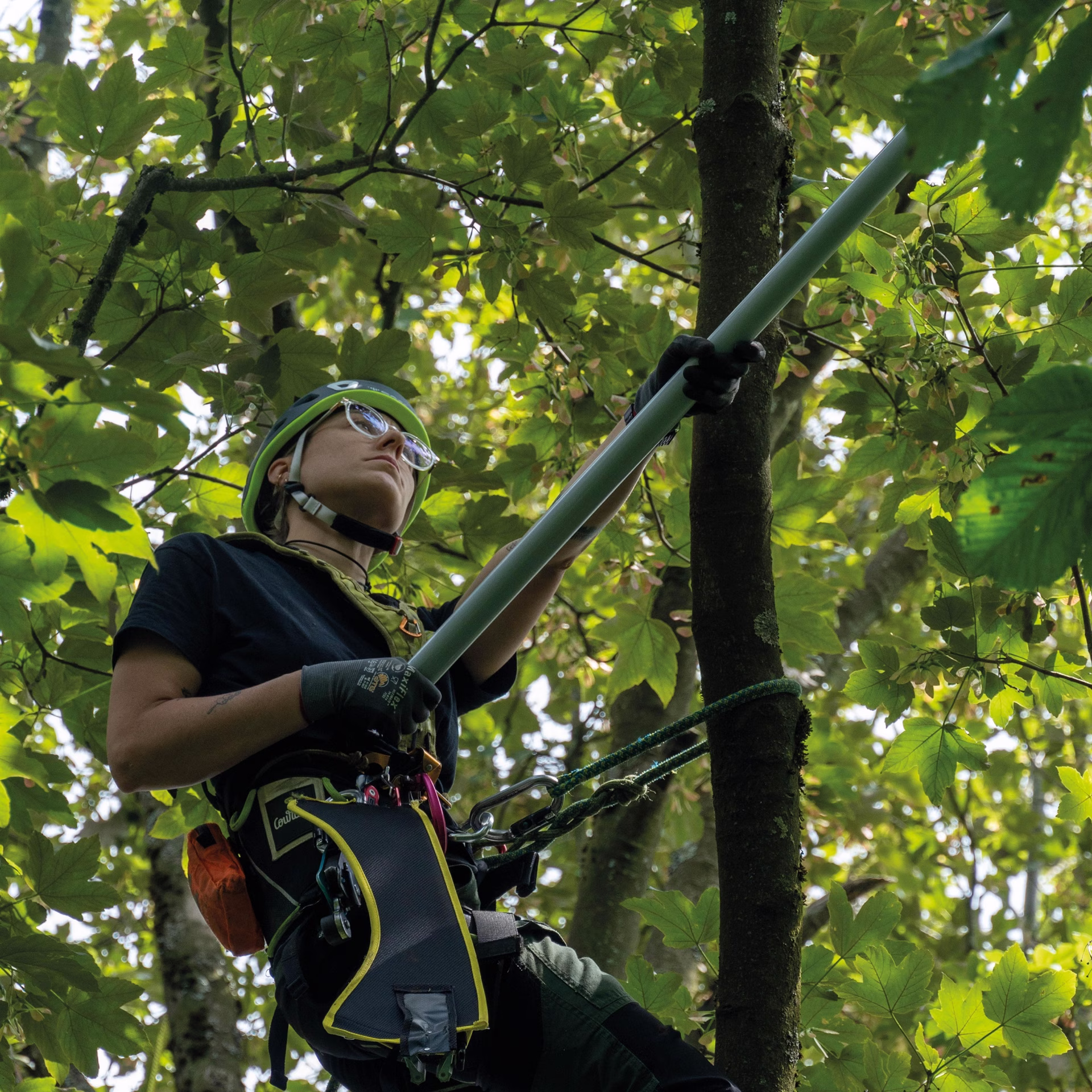 Teleskopstange ArboRapid L.1,45-3,80m