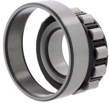 Zylinderrollenlager N1006 -D-K-TVP-SP-XL ID 30mm AD 55mm Breite13mm