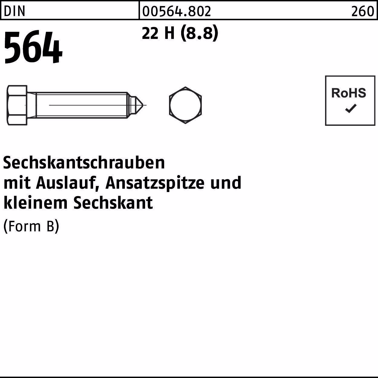 Sechskantschraube DIN 564 m.Ansatzspitze/Auslauf BM 22H (8.8)