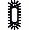 O_Flachoval_spitz_01_all